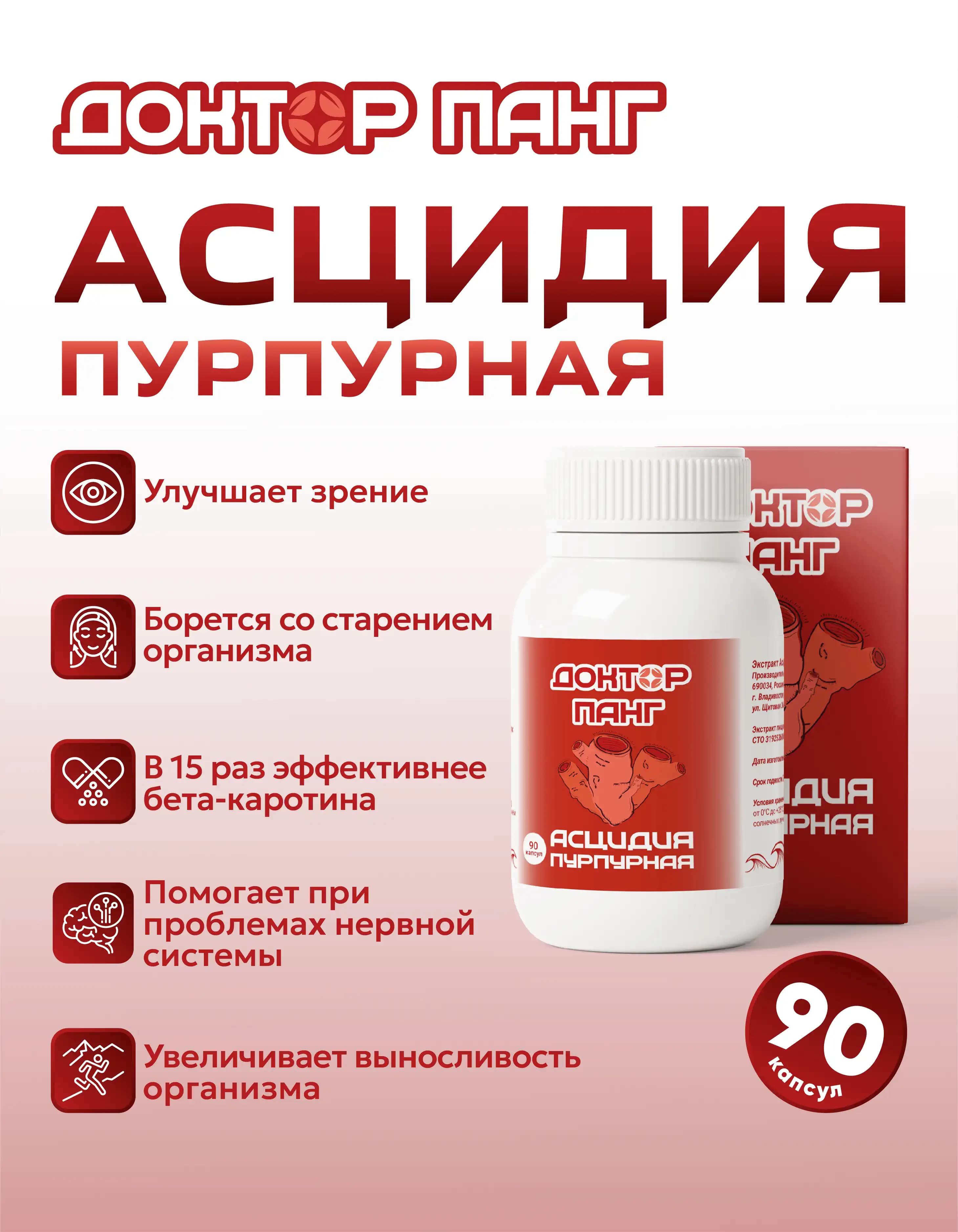 Асцидия