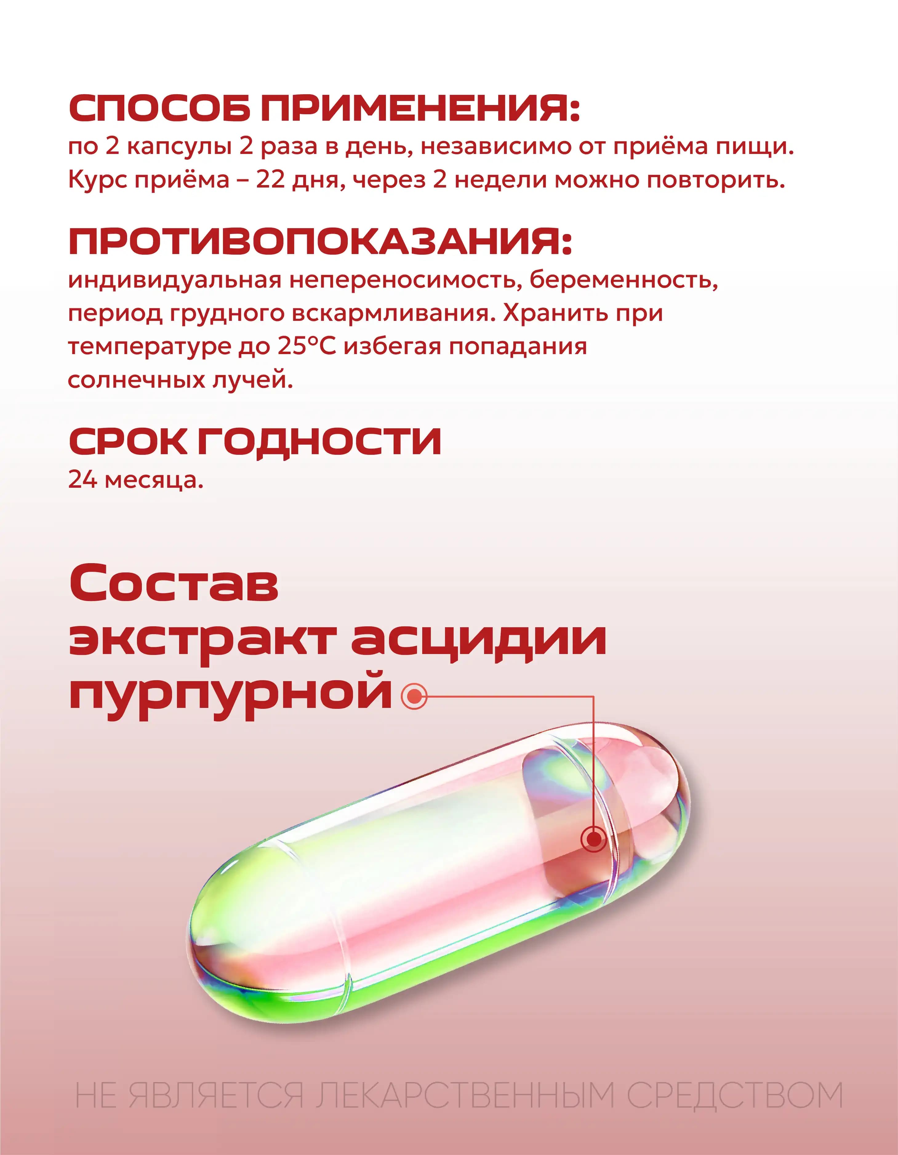 Асцидия, изображение 4