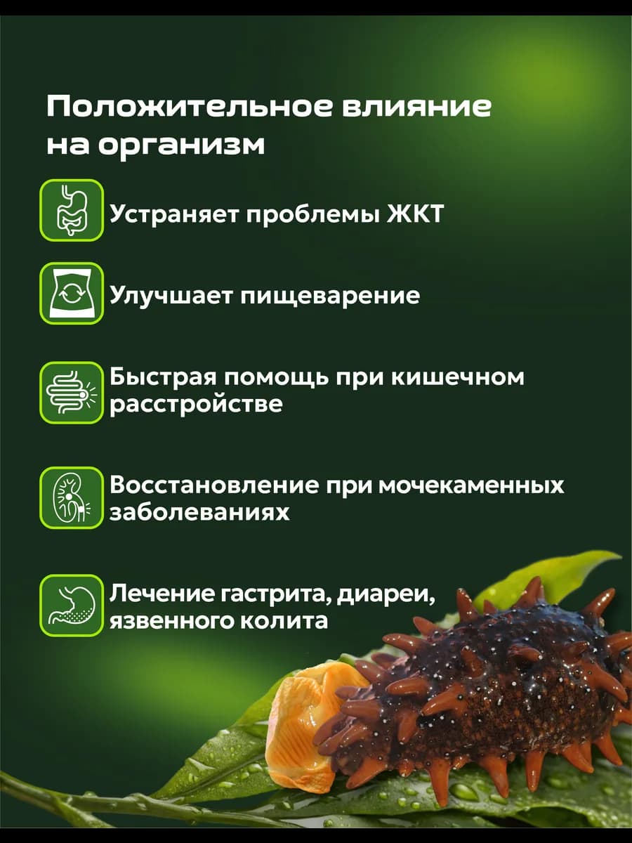Биокомплекс для желудка, изображение 2