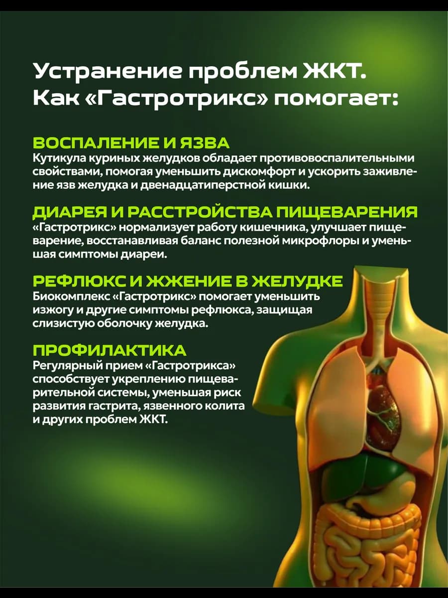 Биокомплекс для желудка, изображение 3