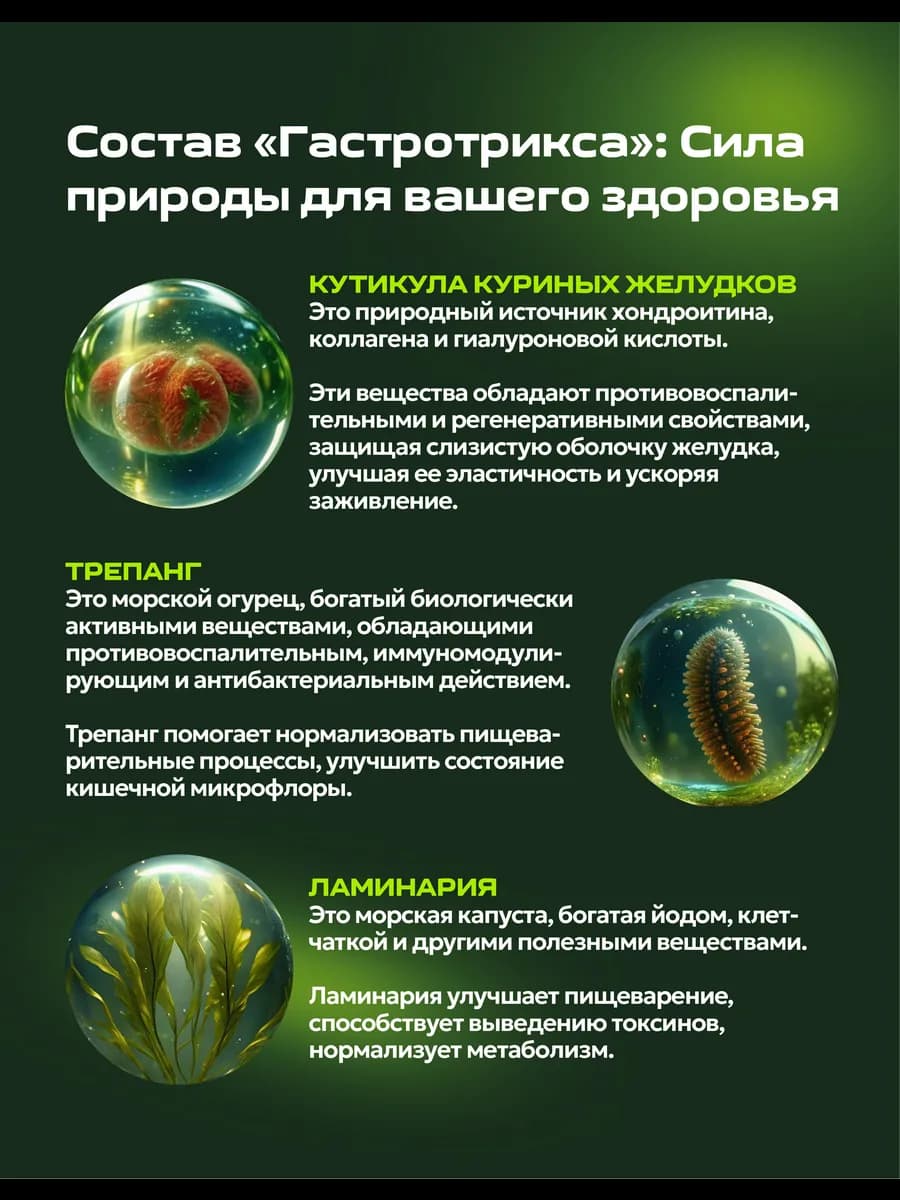 Биокомплекс для желудка, изображение 4